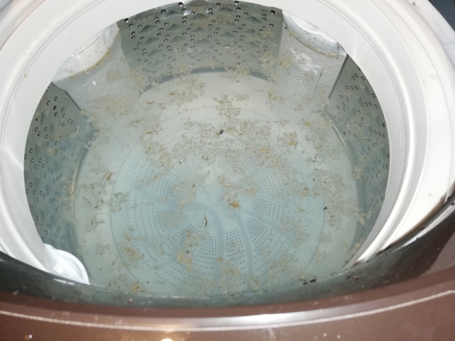 洗濯機の中に汚れが浮いている画像